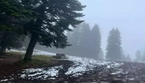 Gece saatlerinde yüksek kesimlerde kar yağdı...