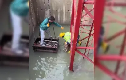 İnşaat alanında su dolu çukura düşen tilkiyi işçiler kurtardı...