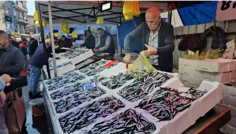 Zonguldak’ta hamsinin kilosu 70 liraya düştü...